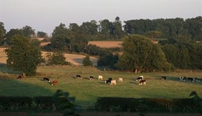 Widok - Red House Farm B&B