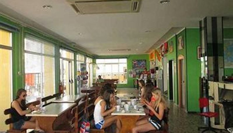 Bar - Sunflower Surf Youth Hotel - Hostel