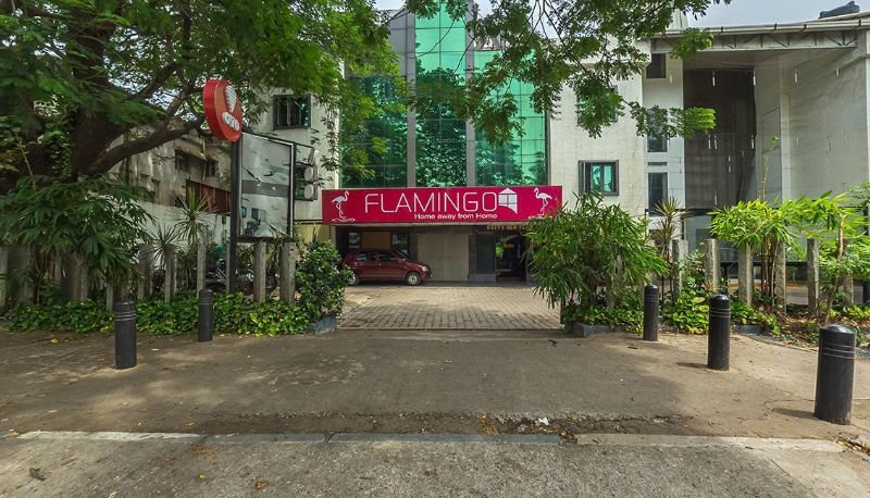Info - Flamingo