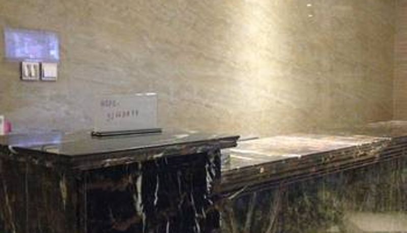 Hall - 金堂县雅静商务宾馆