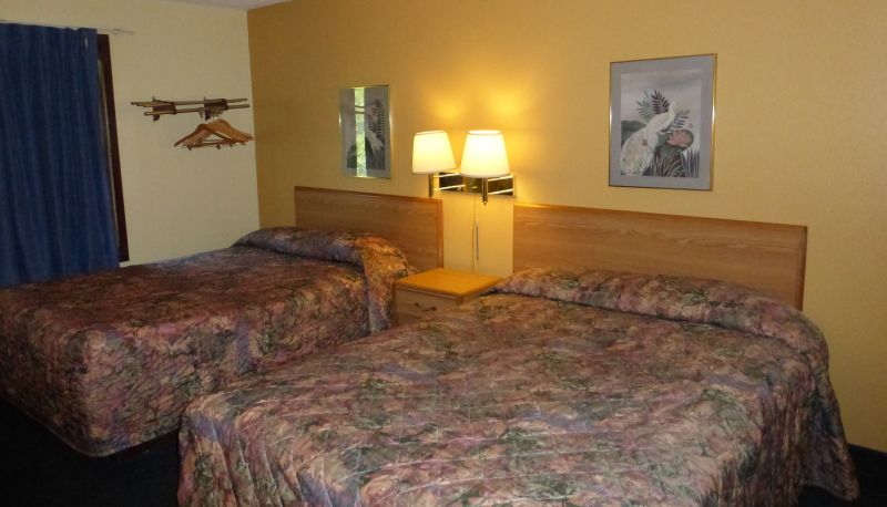 Zimmer - Norwood Inn and Suites Roseville