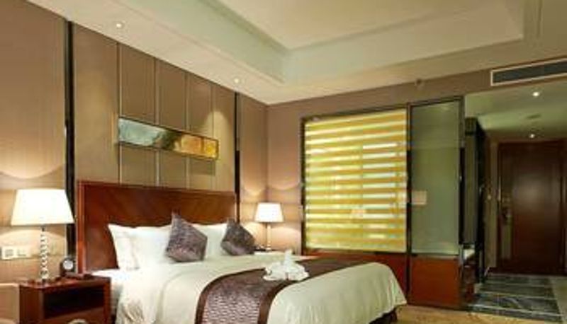 Camera - Torking Royal Hotel (Chongqing Liangjiang)
