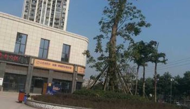 Vista exterior - Flower Blossoming Art Hotel (Chongqing West railway station)