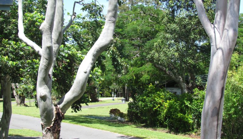 Tuin - Atherton Hallorans Leisure Park