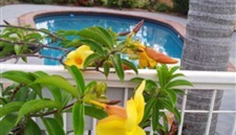 Piscina - True Blue Motor Inn