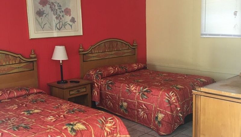 Standard room - Shelton Motel