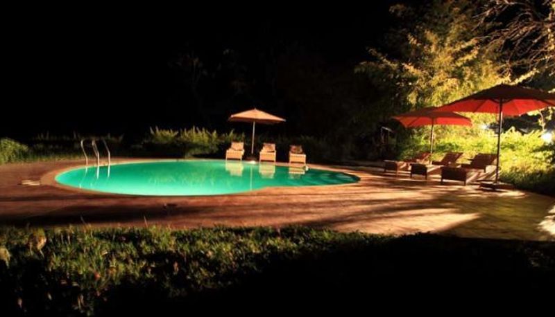 Piscina - Infinity Resort - Bandhavgarh