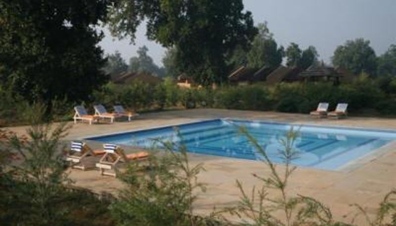 Piscina - Bandhav Vilas