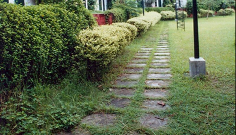 Informacje - Mark & Meadows