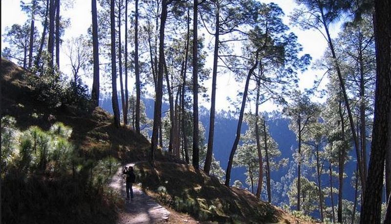 Info - Khali Estate - Mountain Resort