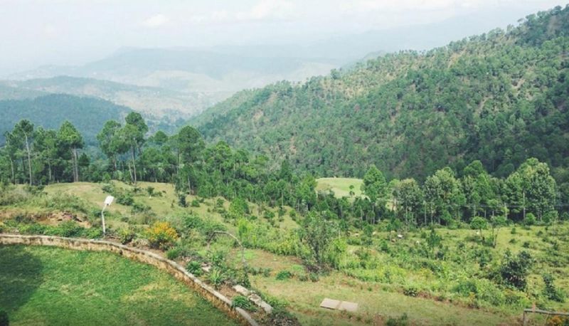 Info - Hotel Elphinstone Himalayan Resort