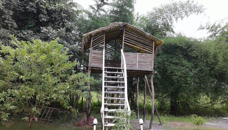 Info - Vraksh Resort