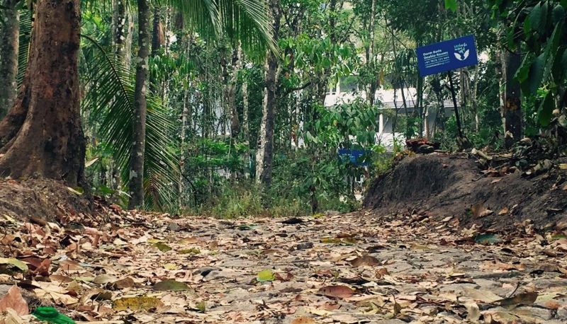 Información - Vedanta Wake Up - Edakkal Caves