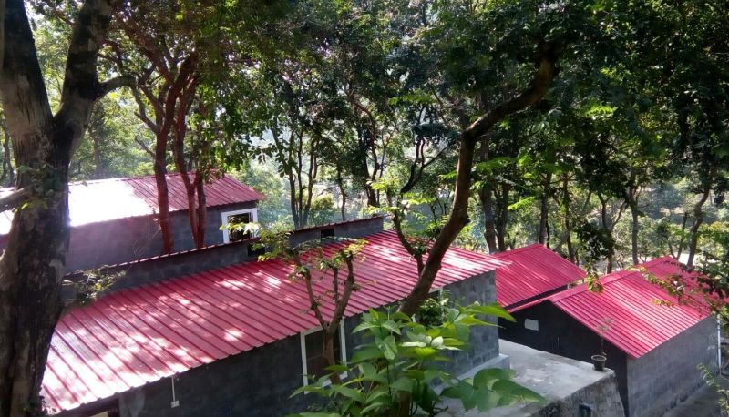Info - The Birds Resort