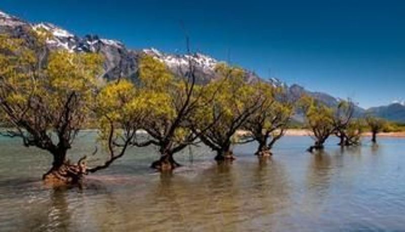 Umgebung - Glenorchy Peaks B&B