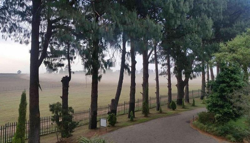 Dintorni - Highveld Splendour Boutique Hotel