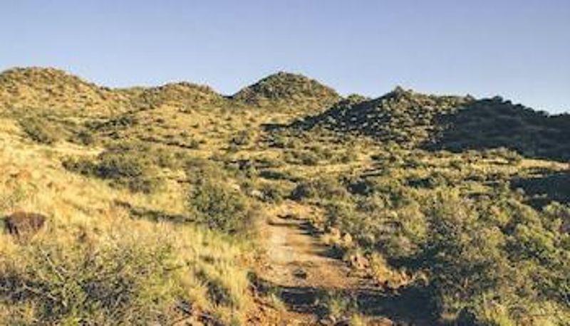 Strutture sportive - Aan de Voor Safaris