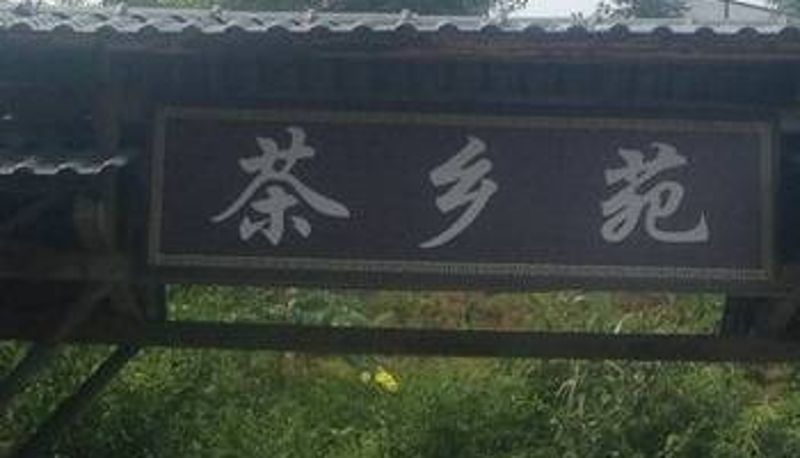 Außenansicht - 雅安蒙顶山茶乡苑