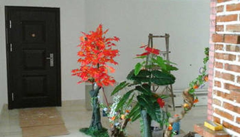 Info - The north sea private inn