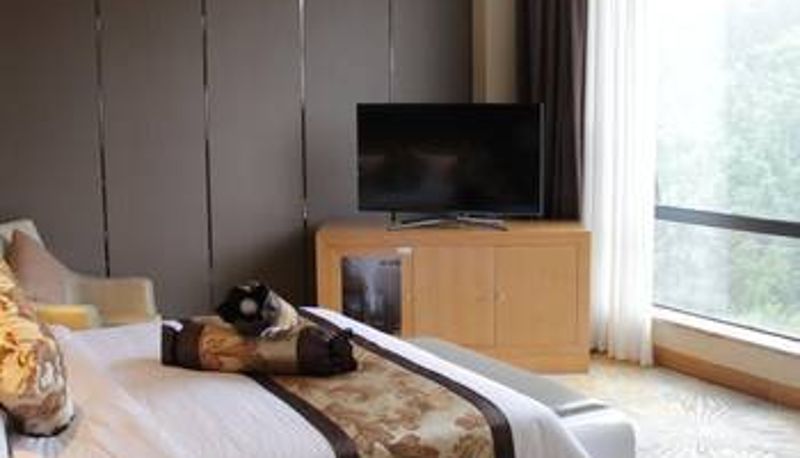 Camera - Guojiang Culture Hotel