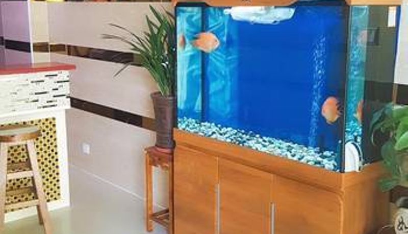 Hall - Hangang Hotel