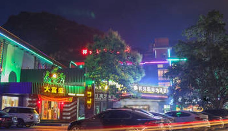 Vista esterna - Pingxiang Xiangxing International Hotel