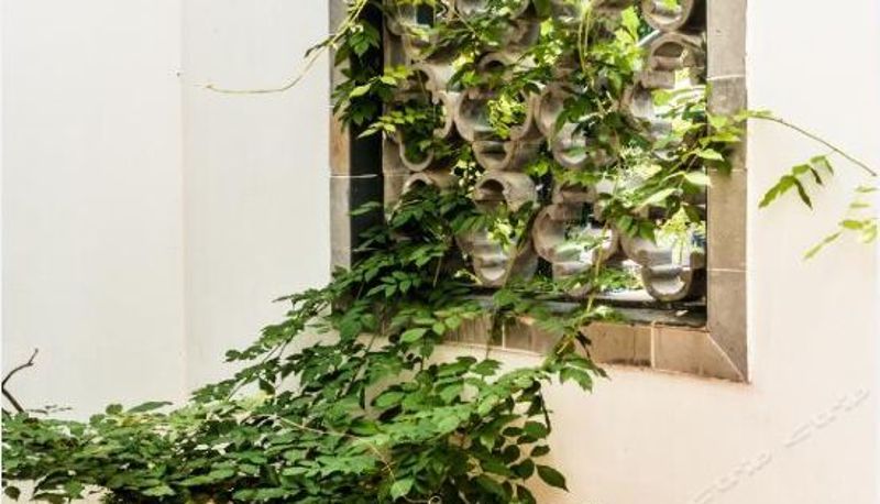 Vista interna - The Amazing Bamboo Life Country Hostel