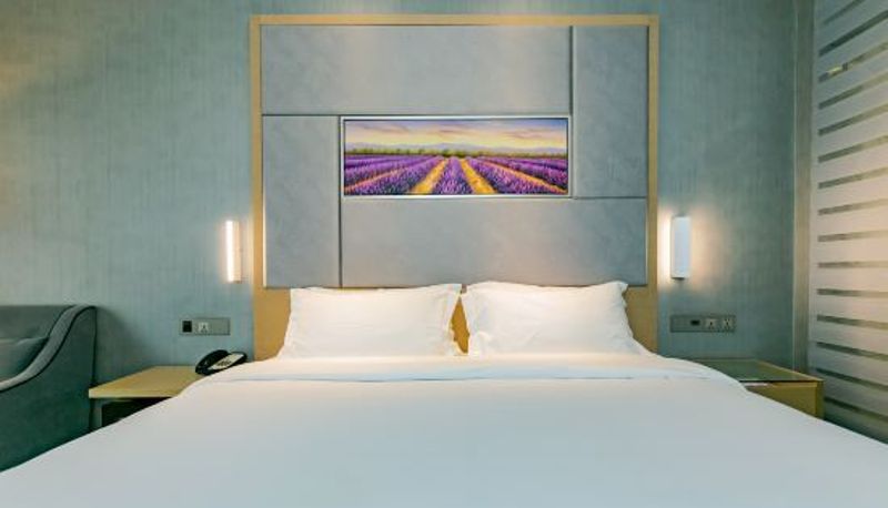 Camera business - Lavande Hotel (Chongqing Tongliang Wanda Plaza Gas Building)