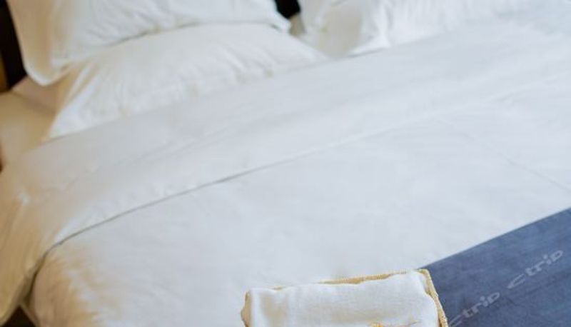 Camera business - GreenTree Eastern Hotel (Qingdao Century Park Liuting Airport)