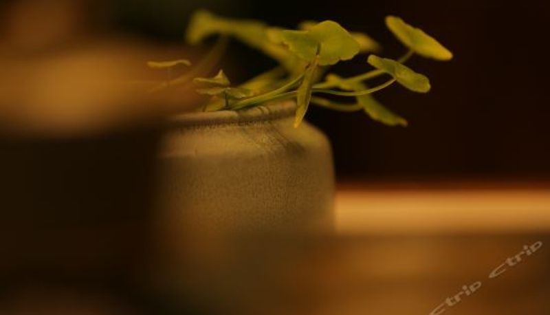 Recepcja - 東谷酒店(重庆观音桥店)