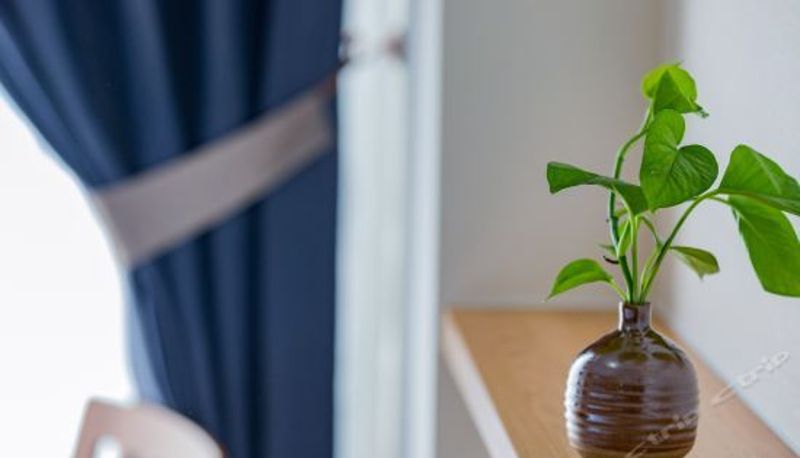 Pokój typu business - Begonia Hotel