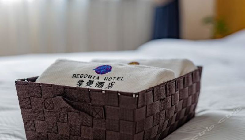Pokój typu business - Begonia Hotel