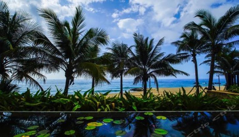 Reception - Only One Villa Holiday Hotel