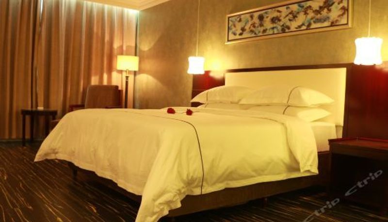 Camera business - Leju Hotel (Jiaozuo Dongfanghong Square)