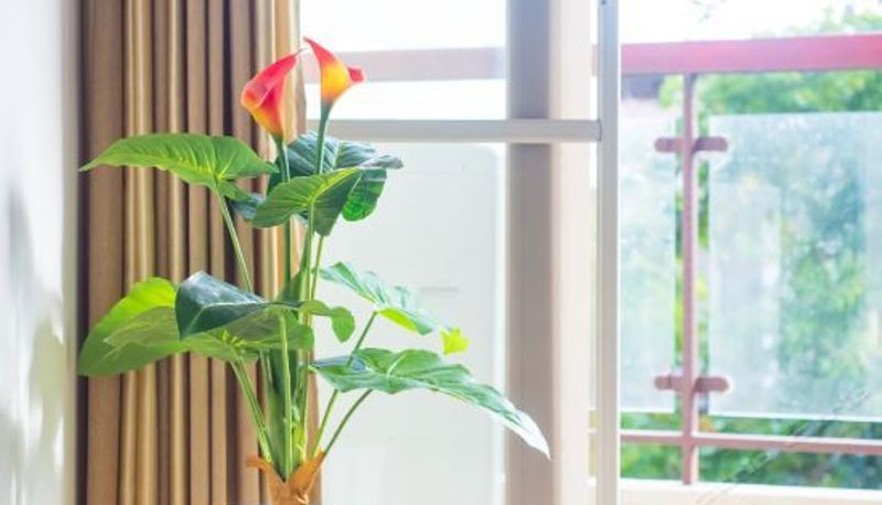 Innenbreich - Hailou Yunyue Seaview Holiday Apartment