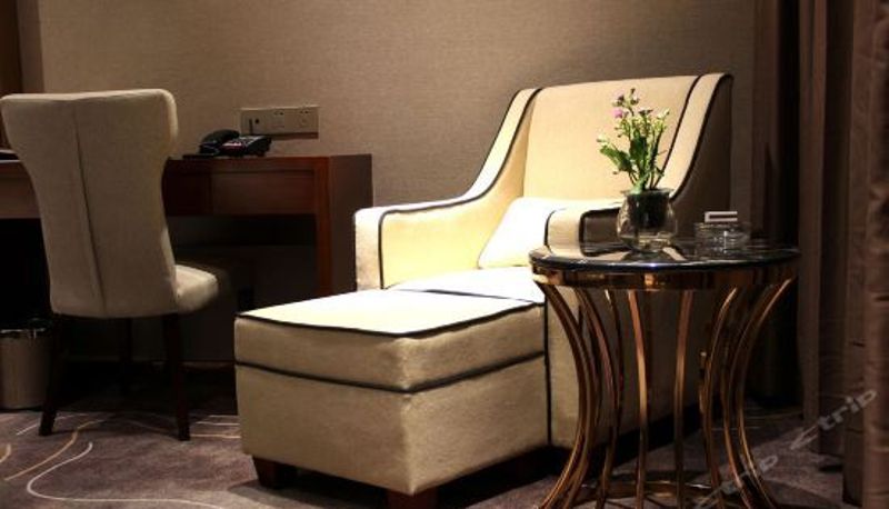 Camera business - bolz hotel