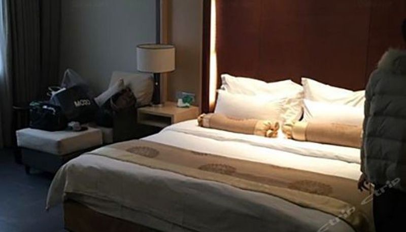 Suite - 三江森林温泉杜马仕酒店(原三江森林温泉度假酒店)