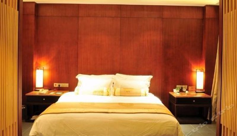 Suite - 三江森林温泉杜马仕酒店(原三江森林温泉度假酒店)