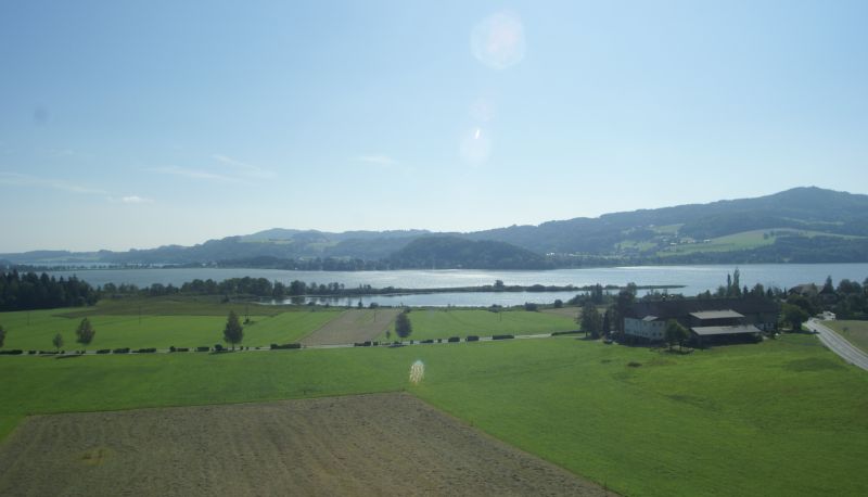 Vista - Walkner