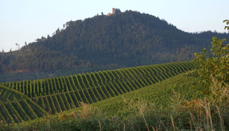 Uitzicht - Heiligenstein