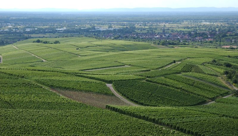 Omgeving - Heiligenstein