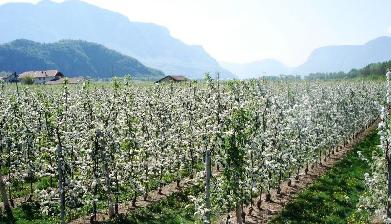 Omgeving - Goldenhof Wellness