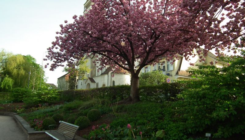 Entorno - Rosengarten