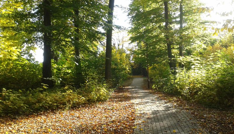 Widok - Parkhotel