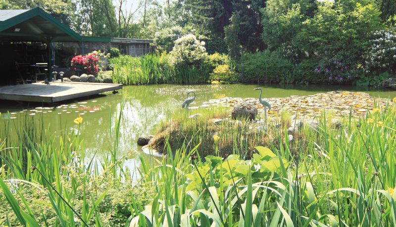 Tuin - Café Kampe