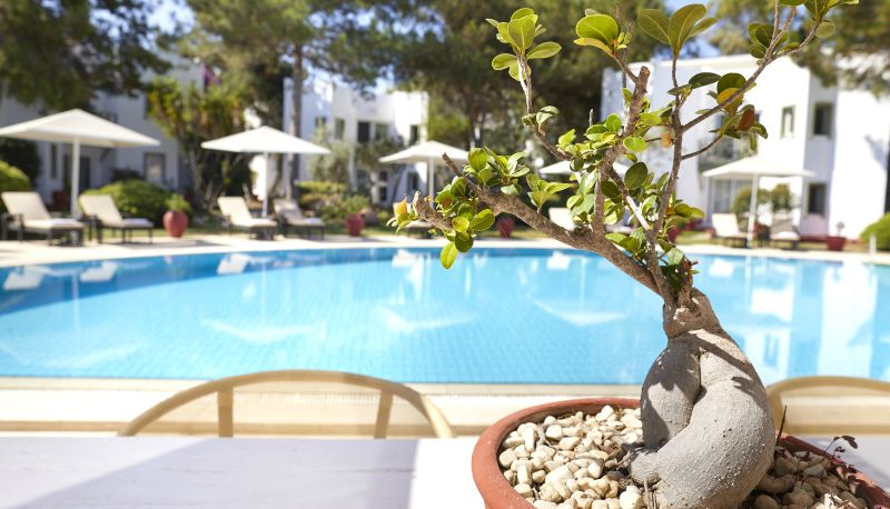 Havuz - Princess Artemisia Boutique Hotel