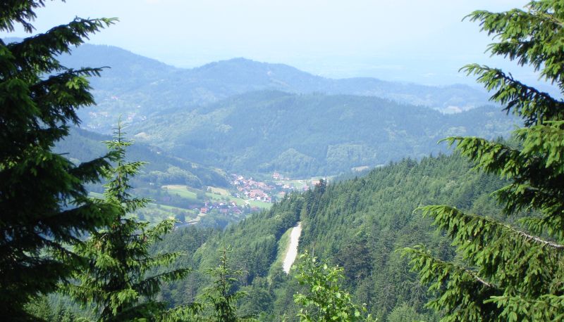 Umgebung - Pflug