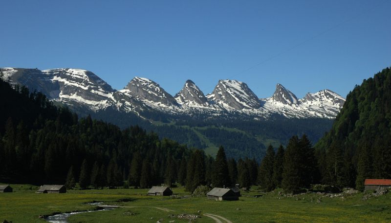 Umgebung - Alpina