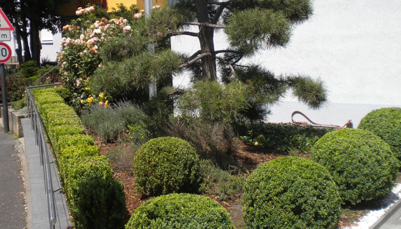 Jardin - Lindleinsmühle