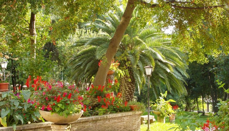 Jardin - Il Cavalier D`Arpino